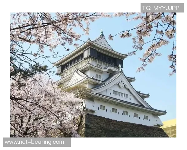 京都与北九州的文化碰撞与旅游魅力探秘之旅